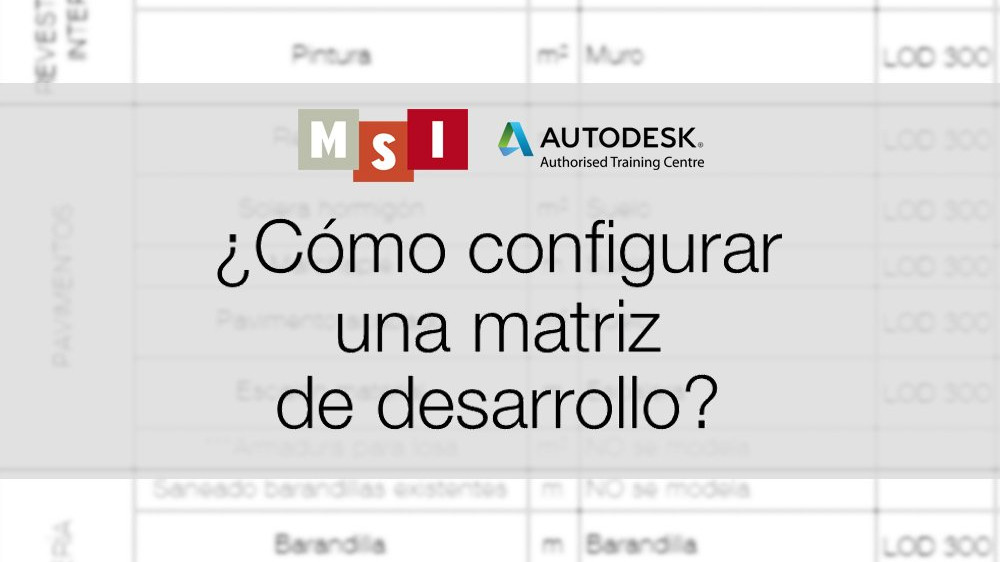 matriz de desarrollo portada
